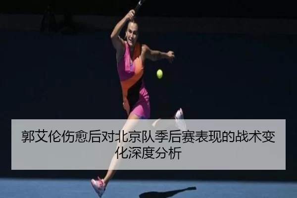 郭艾伦伤愈后对北京队季后赛表现的战术变化深度分析