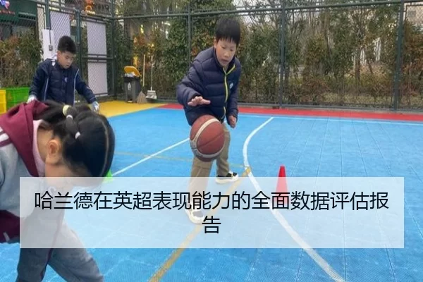 哈兰德在英超表现能力的全面数据评估报告