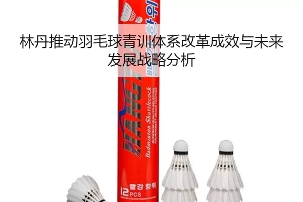 林丹推动羽毛球青训体系改革成效与未来发展战略分析